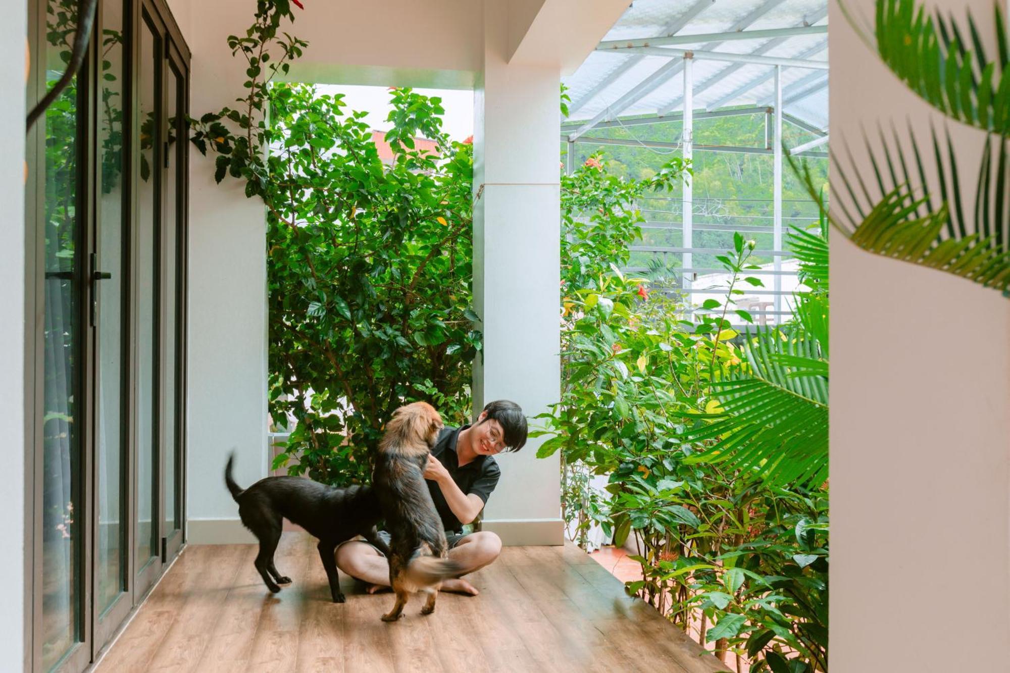 D'Home Homestay Cat Ba Dong Khe Sau エクステリア 写真